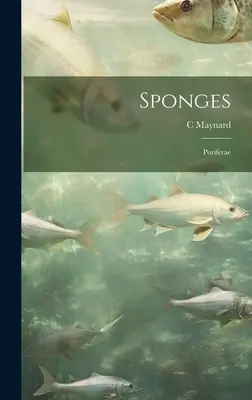 Esponjas; Poríferas - Sponges; Poriferae