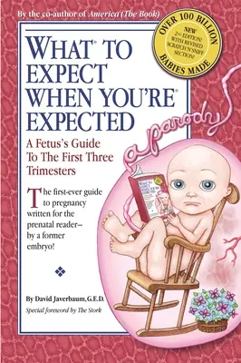 Qué esperar cuando te esperan: Guía del feto para los tres primeros trimestres - What to Expect When You're Expected: A Fetus's Guide to the First Three Trimesters