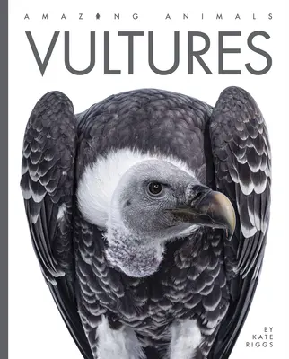 Buitres - Vultures