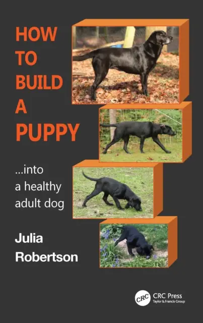 Cómo convertir a un cachorro Cómo convertir a un cachorro en un perro adulto sano - How to Build a Puppy: Into a Healthy Adult Dog