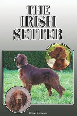 El Setter Irlandés: Una guía completa y exhaustiva para el propietario: La compra, la propiedad, la salud, el aseo, el adiestramiento, la obediencia, la comprensión y el control de la ira. - The Irish Setter: A Complete and Comprehensive Owners Guide To: Buying, Owning, Health, Grooming, Training, Obedience, Understanding and