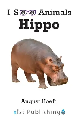 Hipopótamo - Hippo