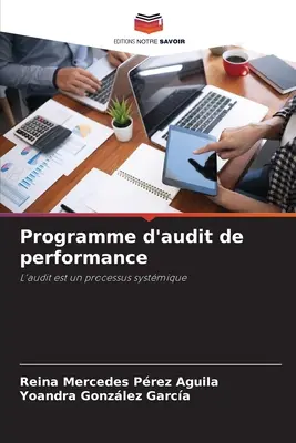 Programa de auditoría de gestión - Programme d'audit de performance