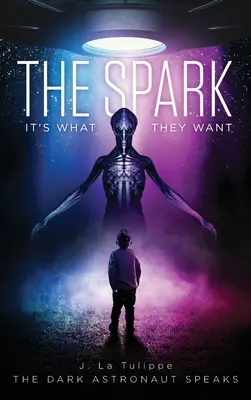 La Chispa: Es lo que quieren - The Spark: It's What They Want