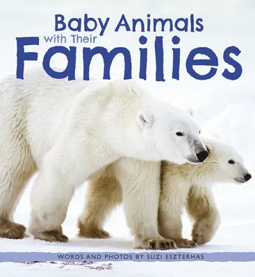 Bebés con sus familias - Baby Animals with Their Families