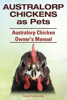 Pollos Australorp como mascotas. Manual del propietario de pollos Australorp. - Australorp Chickens as Pets. Australorp Chicken Owner's Manual.