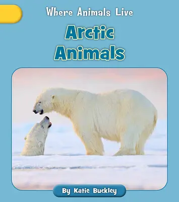 Animales del Ártico - Arctic Animals