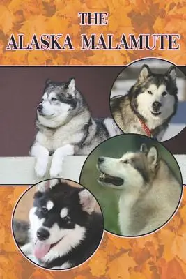 El Malamute de Alaska: Una guía completa y exhaustiva para principiantes a: Compra, Tenencia, Salud, Aseo, Adiestramiento, Obediencia, Comprensión - The Alaska Malamute: A Complete and Comprehensive Beginners Guide To: Buying, Owning, Health, Grooming, Training, Obedience, Understanding