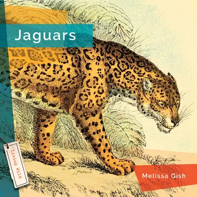 Jaguares - Jaguars