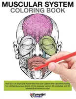 Sistema Muscular Libro para colorear - Muscular System Coloring Book
