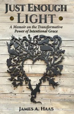 Suficiente luz: Una memoria sobre el poder transformador de la gracia intencionada - Just Enough Light: A Memoir on the Transformative Power of Intentional Grace
