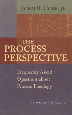 La perspectiva del proceso - The Process Perspective