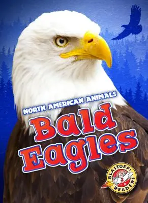 Águilas Calvas - Bald Eagles