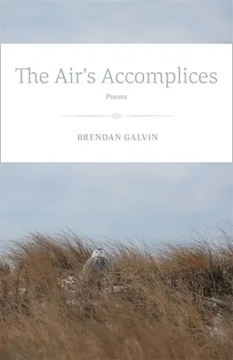 Los Cómplices del Aire: Poemas - The Air's Accomplices: Poems