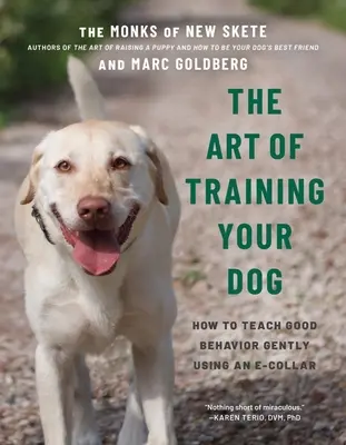 El Arte de Adiestrar a su Perro: Cómo Enseñar Suavemente el Buen Comportamiento Usando un Collar Electrónico - The Art of Training Your Dog: How to Gently Teach Good Behavior Using an E-Collar