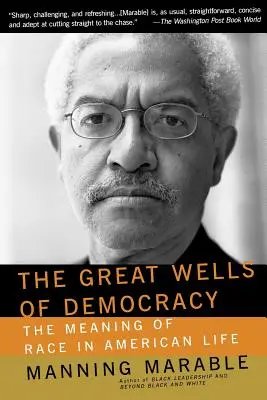 Los grandes pozos de la democracia: El significado de la raza en la vida estadounidense - The Great Wells of Democracy: The Meaning of Race in American Life