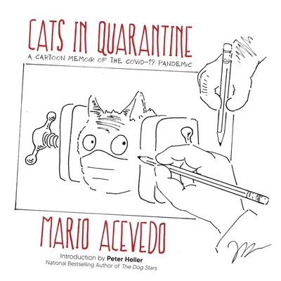 Gatos en cuarentena - Cats in Quarantine