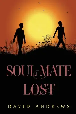 Alma gemela perdida - Soul Mate Lost