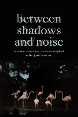 Entre sombras y ruido: Sensación, situación e indisciplina - Between Shadows and Noise: Sensation, Situatedness, and the Undisciplined