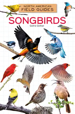 Pájaros cantores - Songbirds