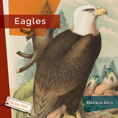 Águilas - Eagles