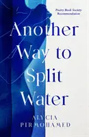 Otra forma de dividir el agua - Another Way to Split Water