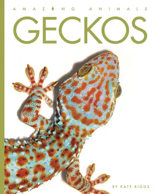 Salamanquesas - Geckos