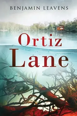 El carril Ortiz - Ortiz Lane