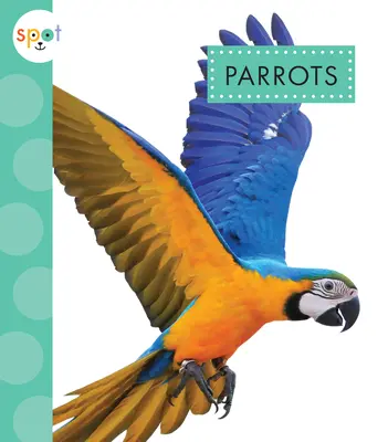 Loros - Parrots