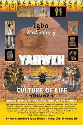 Mediadores Igbo de la Cultura de Vida de Yahweh: Volumen 1: Aprenda a leer jeroglíficos egipcios y escritos sobre ovnis - Igbo Mediators of Yahweh Culture of Life: Volume 1: Learn to Read Egyptian Hieroglyphs and UFO Writings