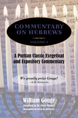 Comentario sobre Hebreos: Exegético y expositivo - Tomo 1 (Heb. 1-7) - Commentary on Hebrews: Exegetical and Expository - Vol. 1 (Heb. 1-7)