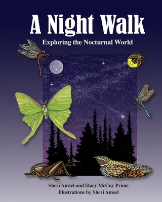 Un paseo nocturno: Explorando el mundo nocturno - A Night Walk: Exploring the Nocturnal World