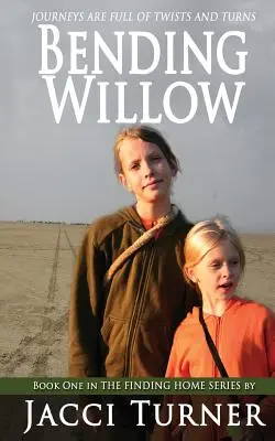 Doblar el sauce - Bending Willow