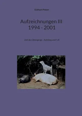 Aufzeichnungen III; 1994 - 2001: Zeit des bergangs - Aufstieg und Fall