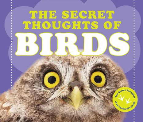 Los pensamientos secretos de los pájaros - The Secret Thoughts of Birds