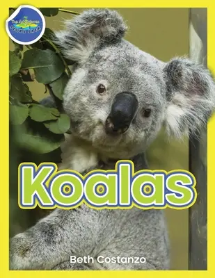 Cuaderno de actividades Koala 4-8 años - Koala Activity Workbook ages 4-8