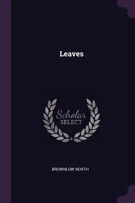 Hojas - Leaves