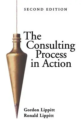 El proceso de consulta en acción - The Consulting Process in Action
