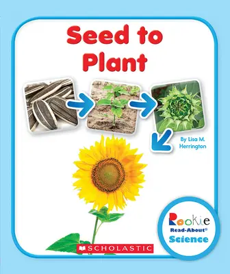 De la semilla a la planta (Ciencia para novatos: Ciclos vitales) - Seed to Plant (Rookie Read-About Science: Life Cycles)