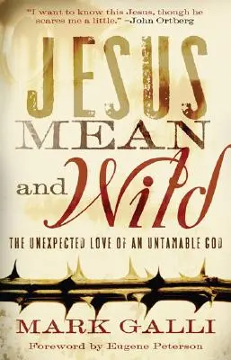 Jesús mezquino y salvaje: el amor inesperado de un Dios indomable - Jesus Mean and Wild: The Unexpected Love of an Untamable God