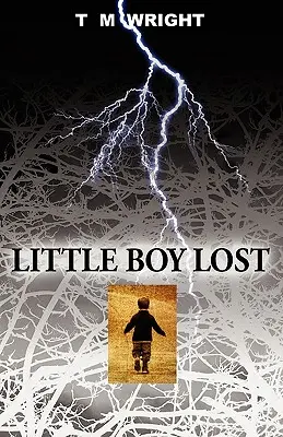 Little Boy Lost