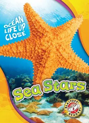 Estrellas de mar - Sea Stars