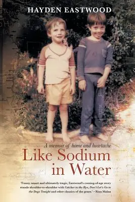 Como el sodio en el agua: Un libro de memorias sobre el hogar y el dolor - Like Sodium in Water: A memoir of home and heartache