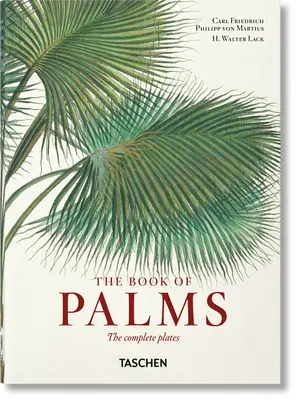 Von Martius. El libro de las palmeras. 40ª ed. - Von Martius. the Book of Palms. 40th Ed.