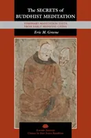 Los secretos de la meditación budista: Textos de meditación visionaria de la China altomedieval - The Secrets of Buddhist Meditation: Visionary Meditation Texts from Early Medieval China