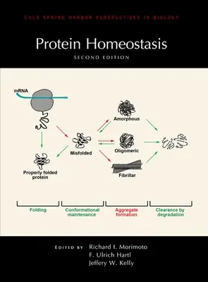 Homeostasis proteica, segunda edición - Protein Homeostasis, Second Edition