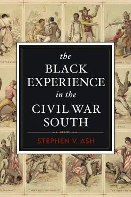 La experiencia negra en el Sur de la Guerra Civil - The Black Experience in the Civil War South