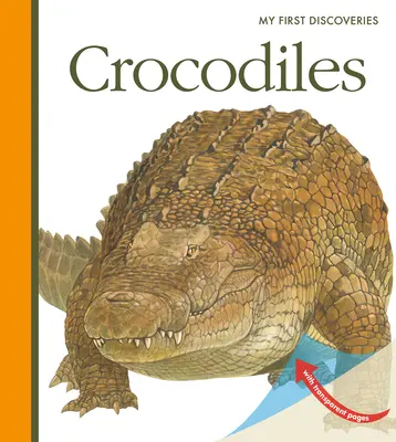 Cocodrilos - Crocodiles