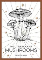 El pequeño libro de las setas - Una introducción al maravilloso mundo de las setas - Little Book of Mushrooms - An Introduction to the Wonderful World of Mushrooms