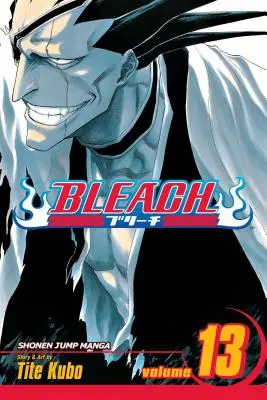 Bleach, Vol. 13: Volume 13